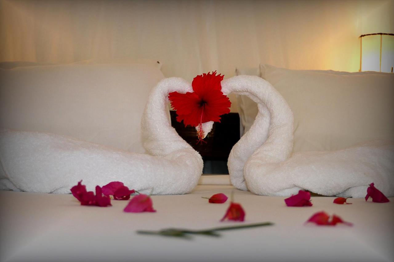 Nyumba Ya Paka Boutique Hotel Malindi Zewnętrze zdjęcie